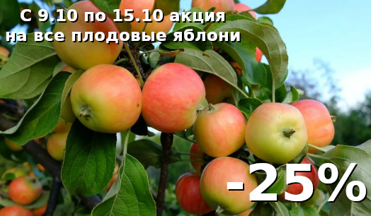 Плодовые яблони