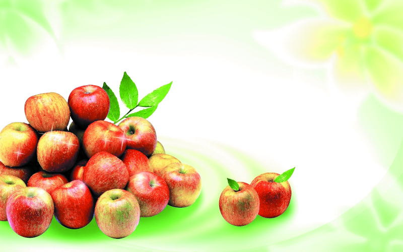 Яблочный Спас – покупать деревья час!