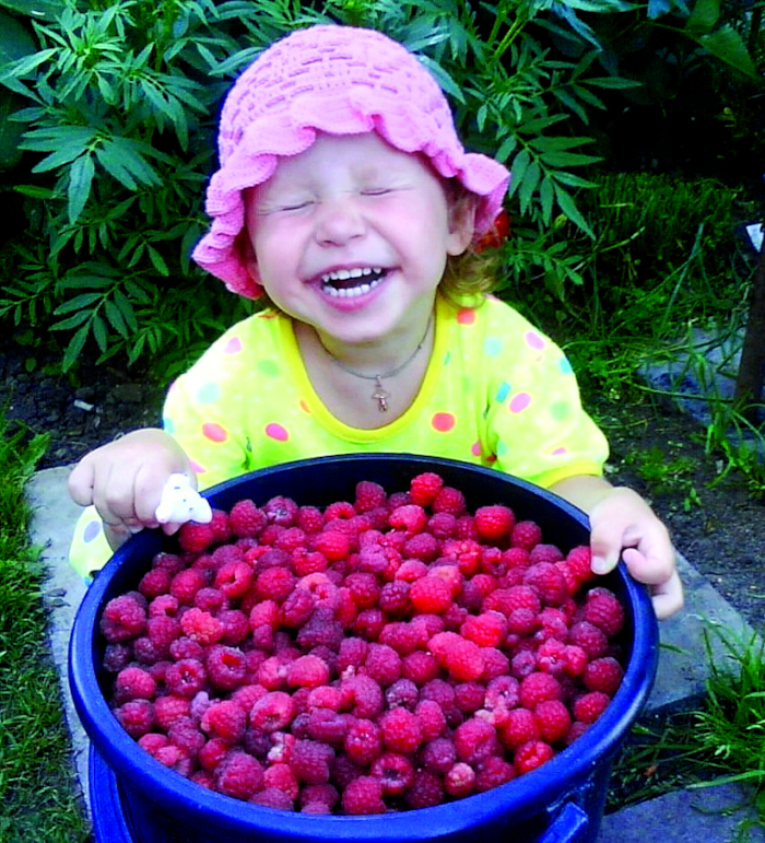 Фрукты-ягоды: сорта, которые не подведут