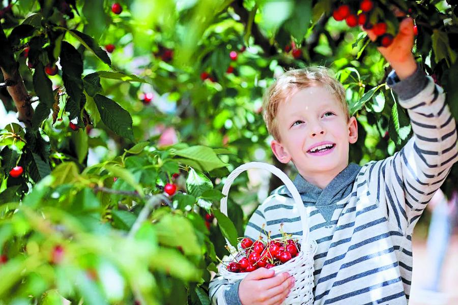 Хватит месить грязь!