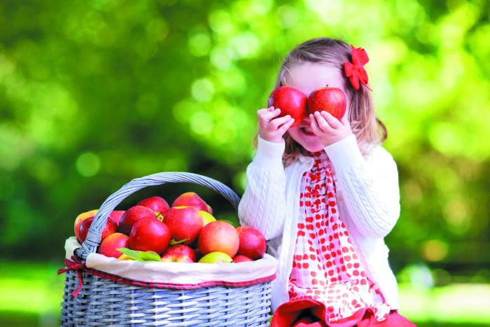Мы про всё расскажем вам… в Телеграмм!